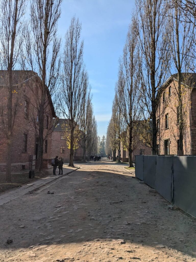 Auschwitz I blocks