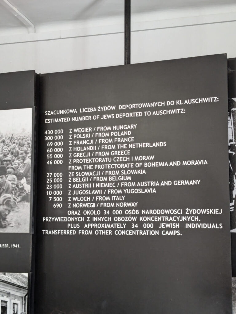 Auschwitz exhibit